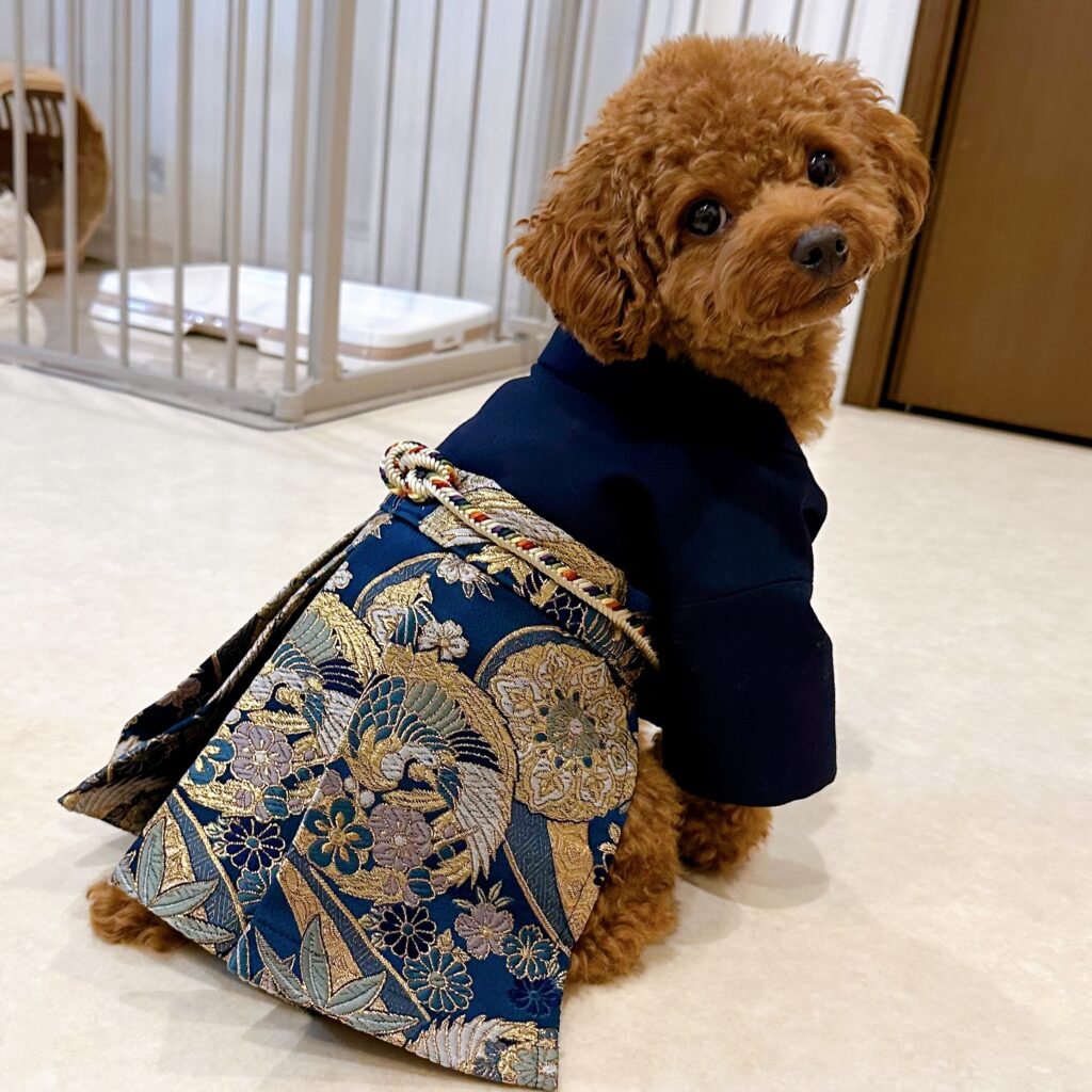 【娘様の制服のベストとお父様のネクタイを利用してワンちゃんの袴を作った画像