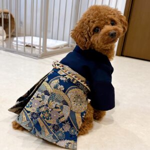 【娘様の制服のベストとお父様のネクタイを利用してワンちゃんの袴を作った画像