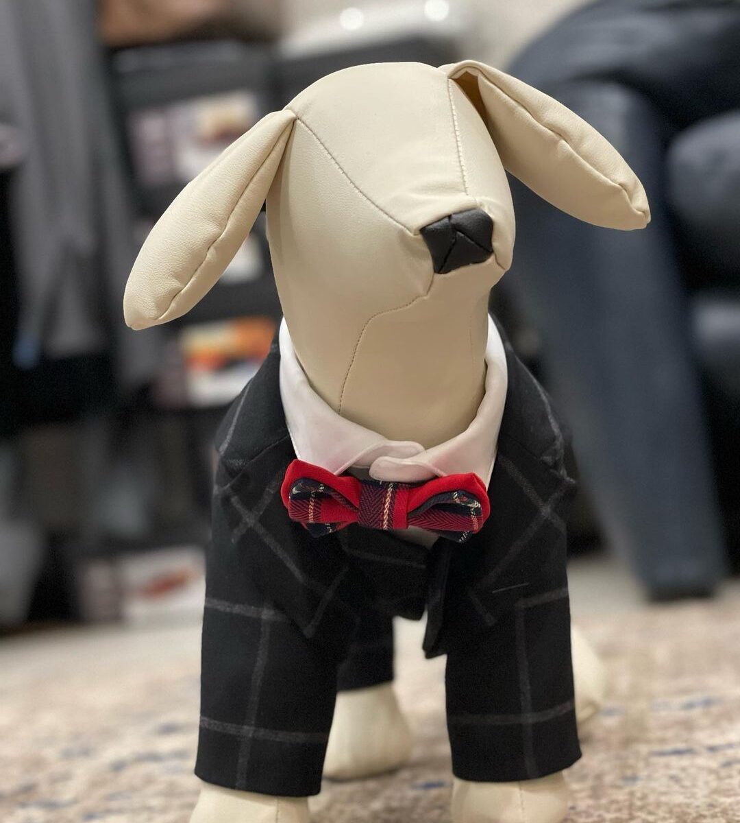 犬用の服の写真