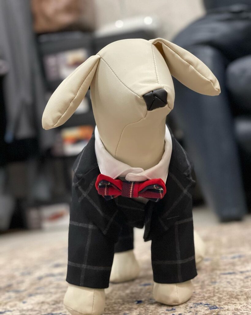 犬用の服の写真