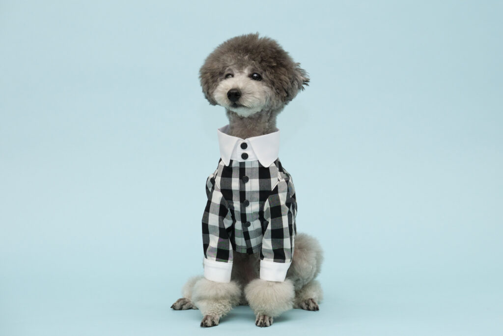 完成後の犬用服の画像