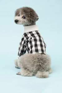 完成後の犬用服の画像
