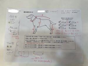採寸シートの写真